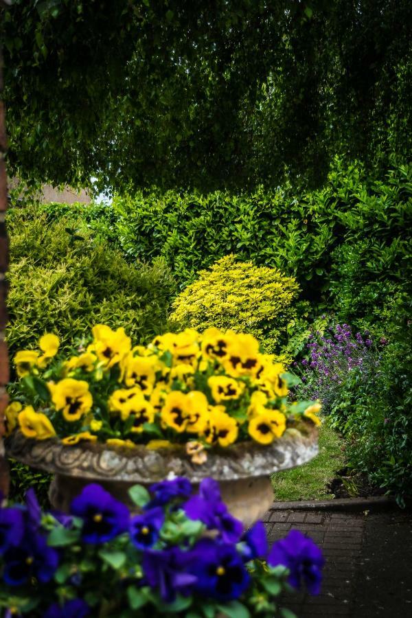 The Cottage Hotel Bradmore  Esterno foto